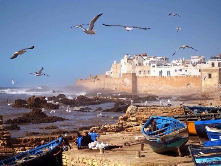 Excursion d'une journée à Essaouira