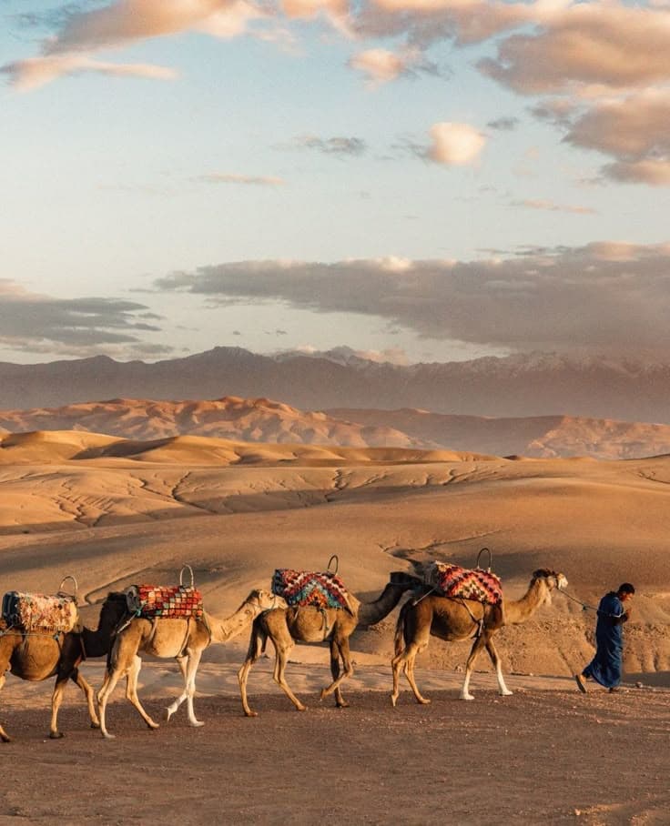 Dunes et Oasis du Désert Marocain