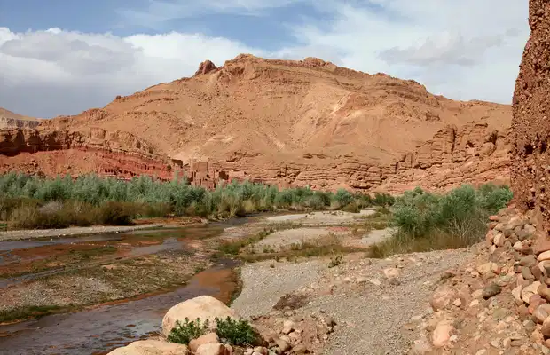 Trek image 1